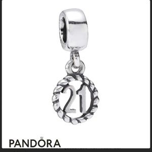 NWOT 21 Pandora Charm